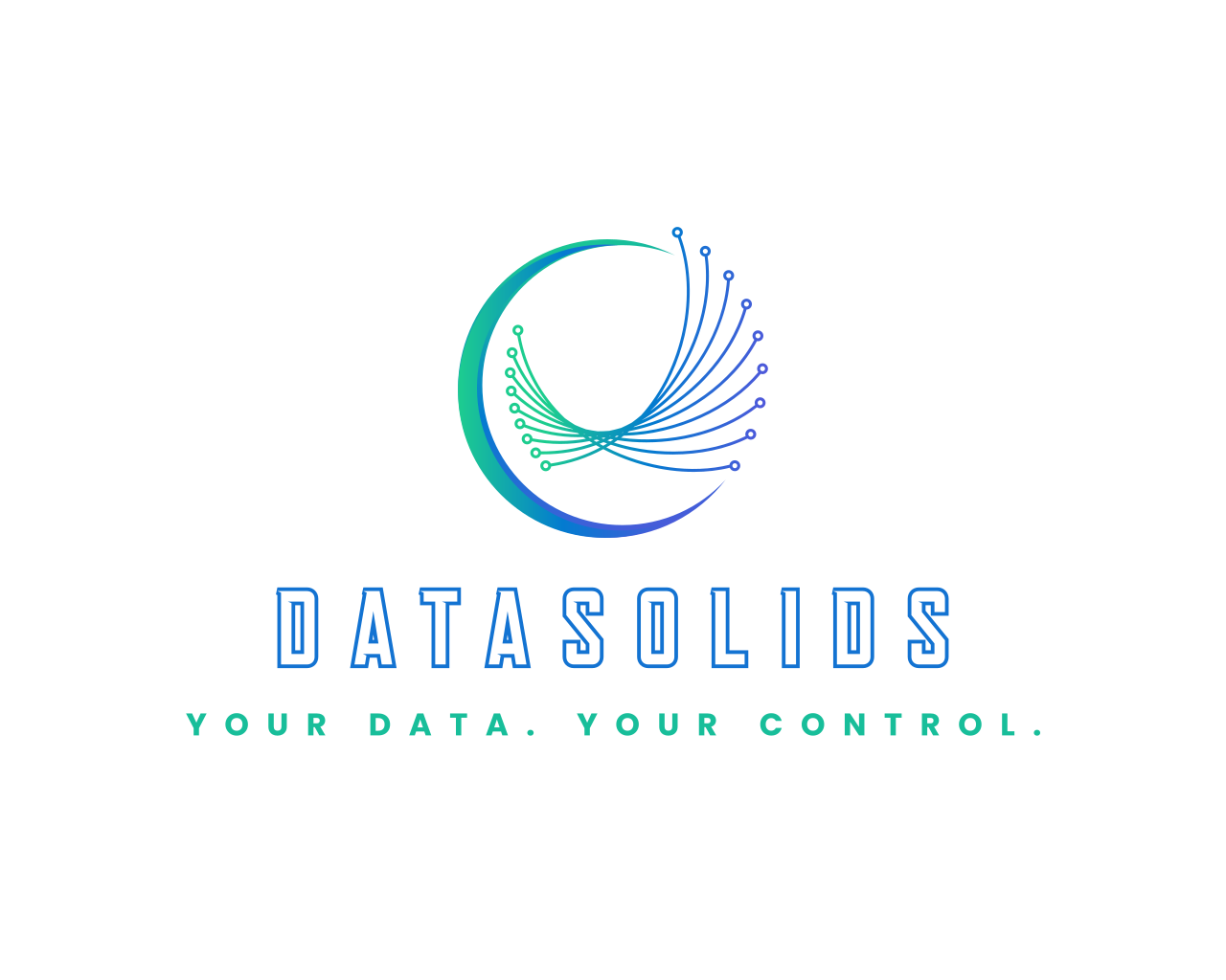 Datasolids Logo